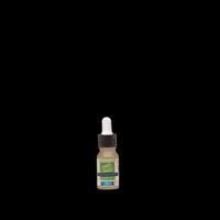 Image 1 de Huile Essentielle De Cyprès 10ML