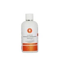 Image 1 de Shampoing Cheveux Secs & Abimés 250ml